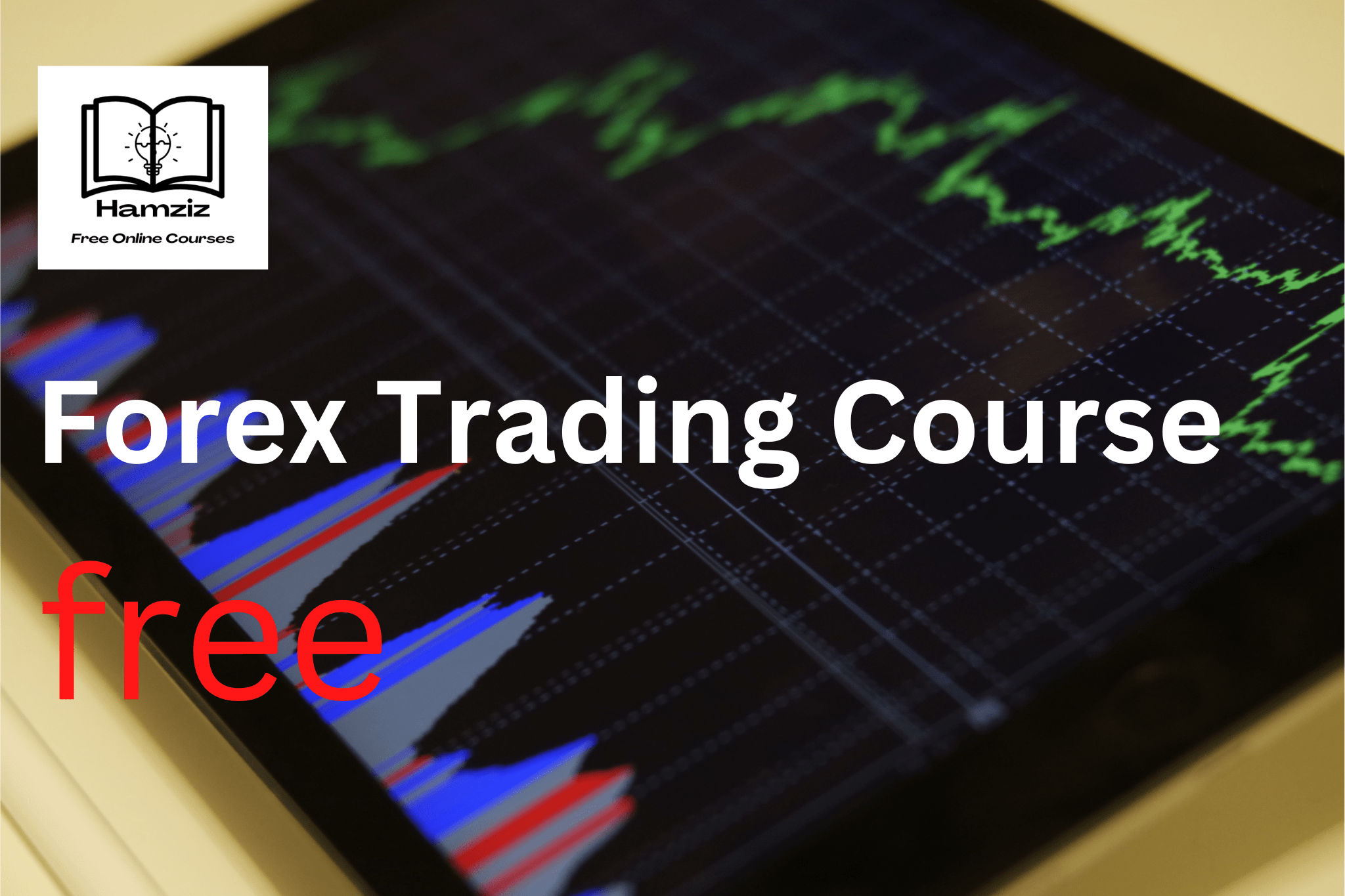 Beginners Forex Trading Course